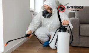 Guía completa: Cómo elegir una fumigadora confiable en Ciudad de México