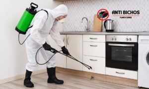 Fumigaciones en Ciudad de México: ¿Cuál es el mejor servicio para tu hogar?