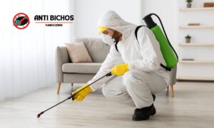 ¿Cuánto cuesta una fumigación en la Ciudad de México? Tarifas 2025