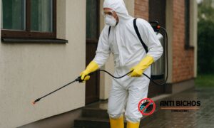 Evita plagas en temporada de lluvias: Servicios de fumigación en Ciudad de México