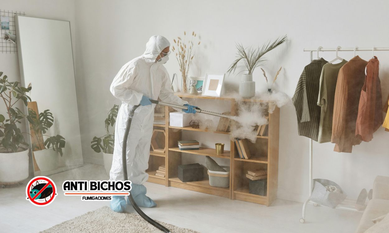 Preparación para fumigar tu casa: checklist antes, durante y después del servicio en CDMX
